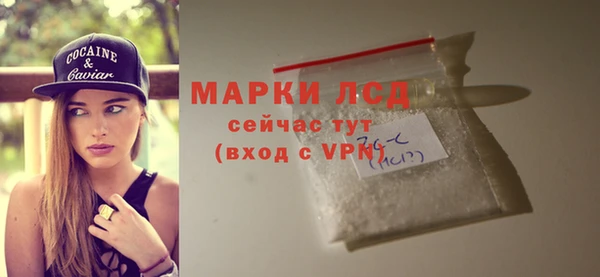 ПСИЛОЦИБИНОВЫЕ ГРИБЫ Заводоуковск