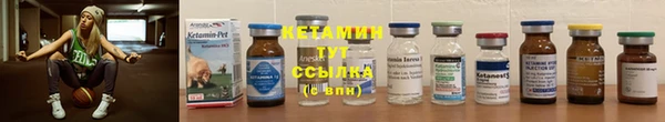 ПСИЛОЦИБИНОВЫЕ ГРИБЫ Заводоуковск