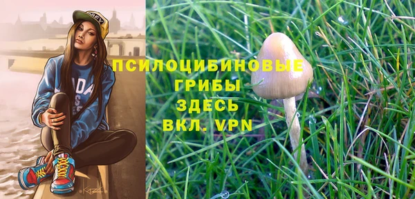 ПСИЛОЦИБИНОВЫЕ ГРИБЫ Заводоуковск